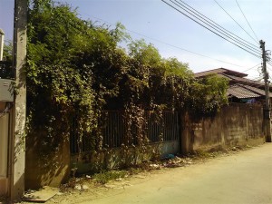 ถมดินวิภาวดี