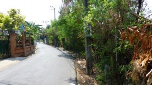 ที่ดินเปล่า