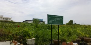ที่ดินราคาถูก สุขสวัสดิ์70