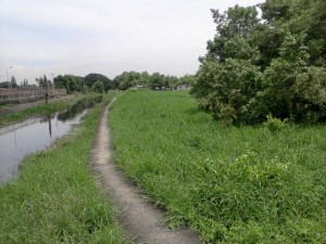 ที่ดินเปล่า สุวรรณภูมิ-ลาดกระบัง
