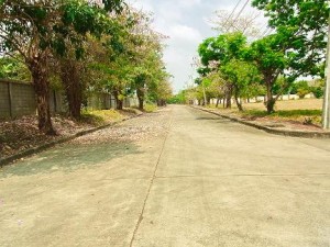 ถนนหน้าที่ดินบางนา
