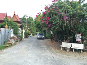 ที่ดิน ตลาดสะพานใหม่