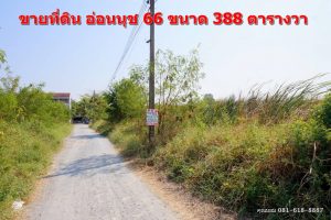 ที่ดินอ่อนนุช 66 ยังไม่ได้ถมดิน